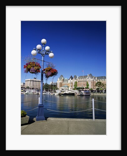 Flower Pots Hanging on Street Light by Anonymous