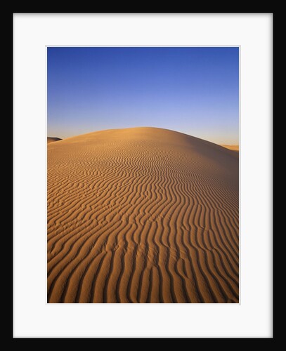 Ripples Covering Sand Dune by Anonymous
