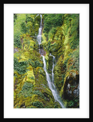 Waterfall on Moss-Covered Cliff by Anonymous