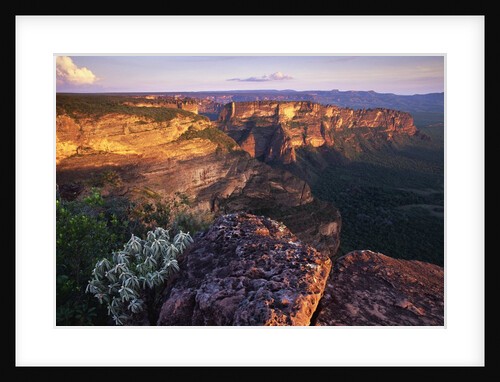 Sandstone Cliffs at Sunset by Anonymous