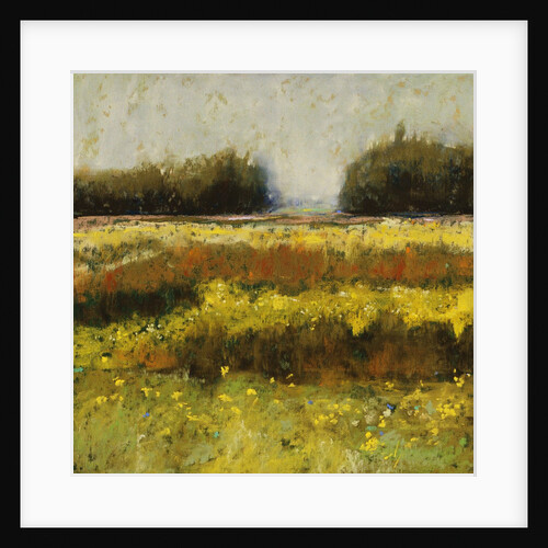 View from Dale Farm by Lou Wall