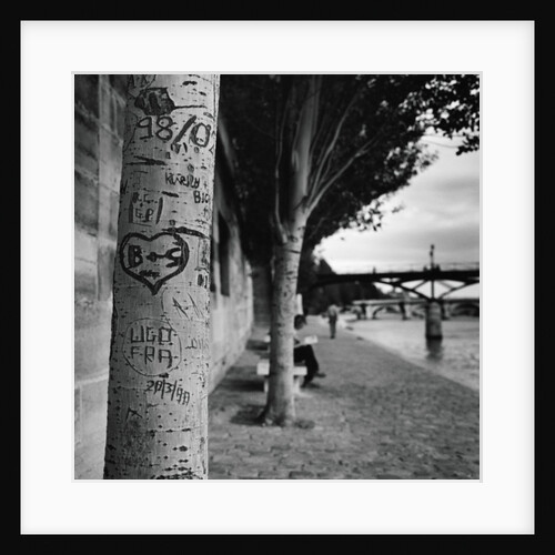 Graffiti on Tree Trunk by Anonymous