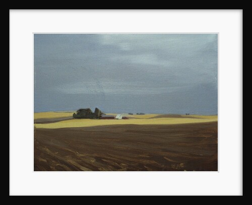 Fields, Moses Lake by Mary Iverson