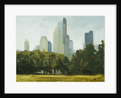 Central Park Skyline by Mary Iverson