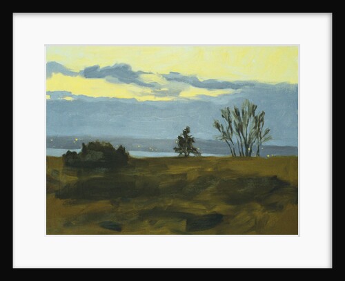 Discovery Park Evening by Mary Iverson