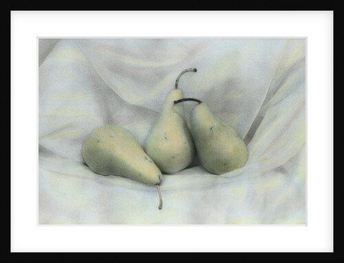 Pear Study #1731 by Kim Koza