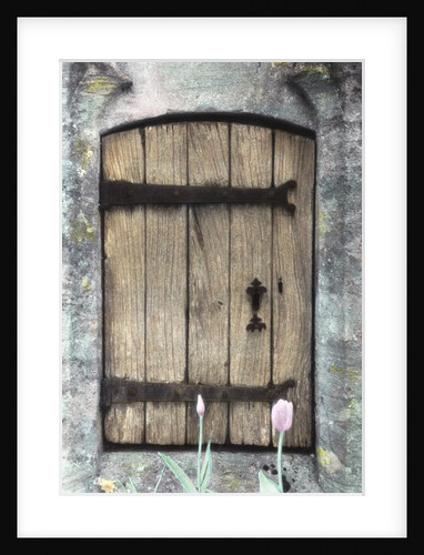 H.C. Cotswald Door and Tulips by Kim Koza