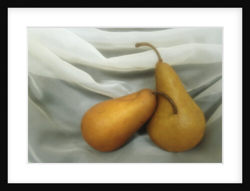 Pears by Kim Koza