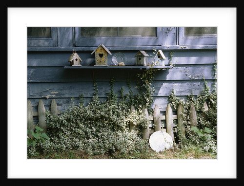 Roma's House by Kim Koza