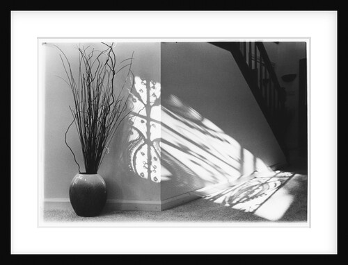 Gower Road Shadows by Kim M. Koza