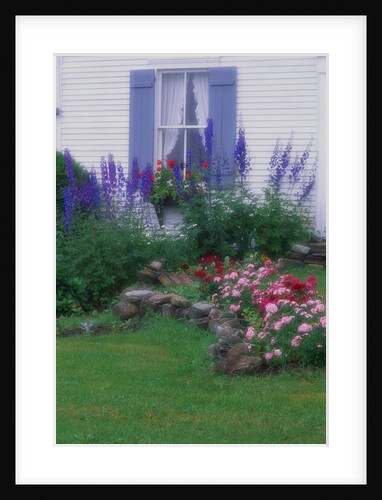 Blooming Cottage Flowers by Anonymous