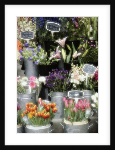 Flowers for Sale by Susan C. Rosenthal