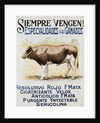 Siempre Vengen! Poster by Anonymous