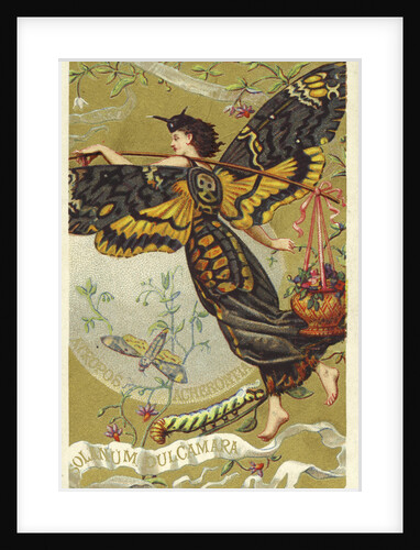 Atropos Acherontia, Solanum Dulcamara, eau des Carmes Boyer Perfume Victorian Trade Card by Anonymous