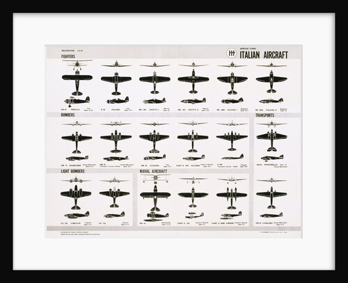 Poster of Italian Combat and Transport Aircraft by Anonymous