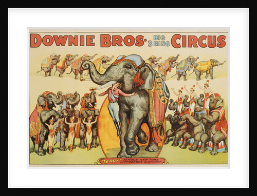 Downie Bros. Big 3 Ring Circus Poster by Anonymous