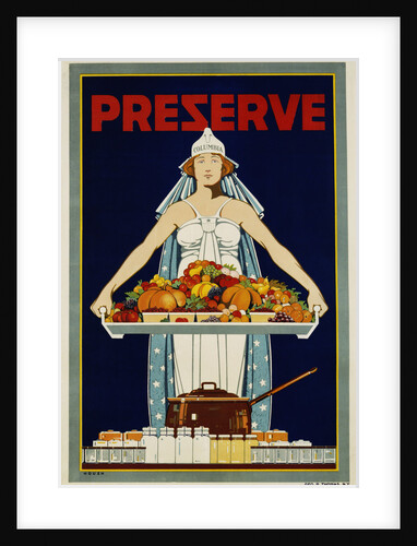 Preserve War Effort Poster with Figure of Columbia by Housh