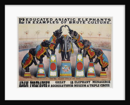 Adam Forepaugh's Great Aggregation Poster by Matt Morgan