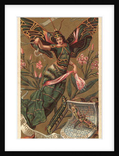 Nerium Oleander Perfume Advertisement by Anonymous