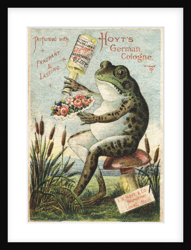 Hoyt's German Cologne Advertisement by Anonymous