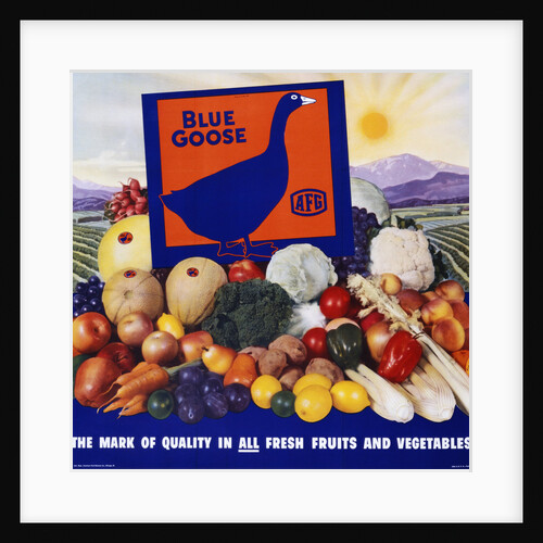 Blue Goose Poster by Anonymous