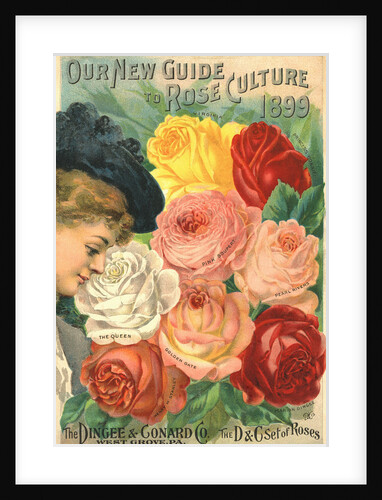 Our New Guide to Rose Culture, 1899 Catalog Cover for The Dingee & Conard Co. by Anonymous