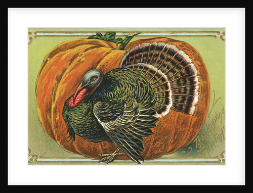Thanksgiving Greetings Postcard with a Turkey and Pumpkin by Anonymous