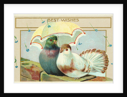 Best Wishes Postcard by Anonymous