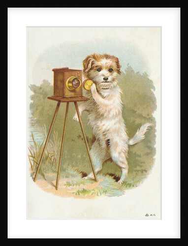 Trade Card of a Terrier Photographer by Anonymous