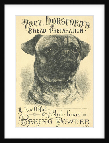 Prof. Horsford's Baking Powder Trade Card by Anonymous