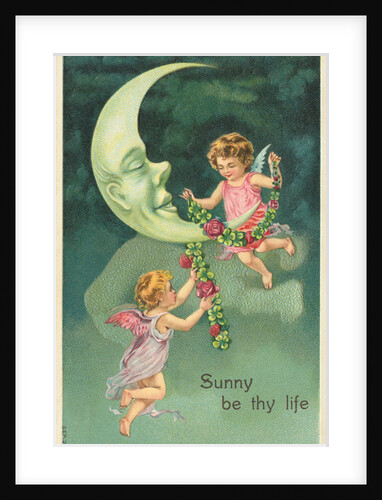 Sunny Be Thy Life Postcard by Anonymous