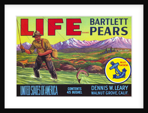 Life Brand Bartlett Pears Fruit Crate Label by Anonymous
