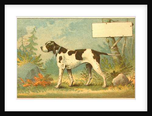 Trade Card of a Hound Dog in the Forest by Anonymous