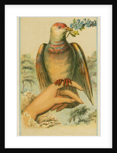 Print of a Dove Resting on a Woman's Hand by Anonymous