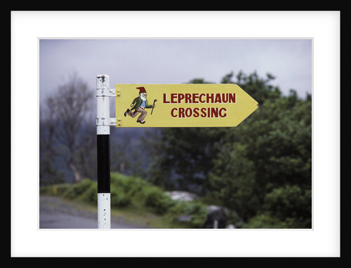 Leprechaun Crossing Sign by Anonymous