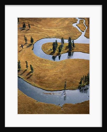 Gardiner River in Yellowstone National Park by Anonymous