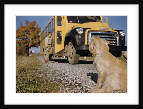 Faithful Dog Watching Boy Enter School Bus by Anonymous
