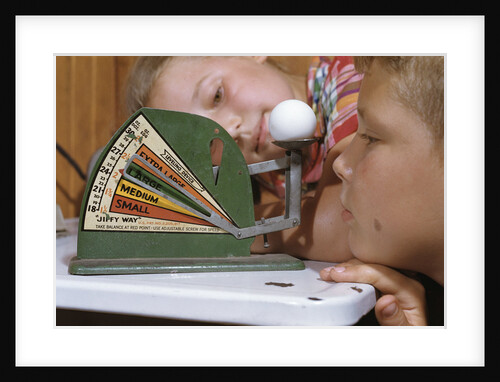Children Measuring Egg on Scale by Anonymous