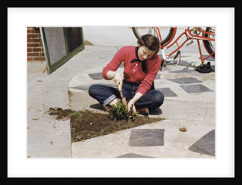 Woman Gardening by Anonymous
