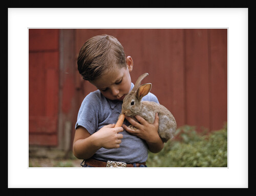 Boy Feeding a Rabbit by Anonymous
