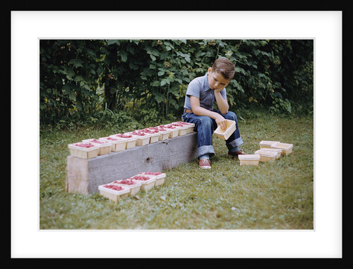 Bored Child Sitting with Raspberry Cartons by Anonymous