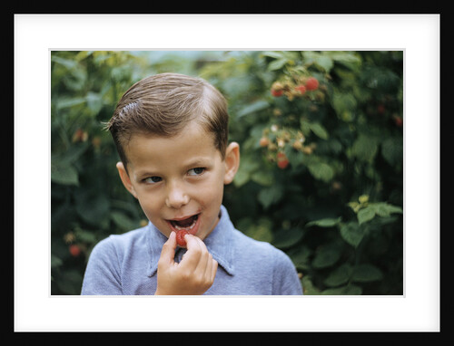 Boy Eating a Raspberry by Anonymous