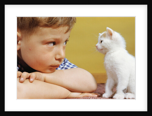 Boy Looking at White Kitten by Anonymous