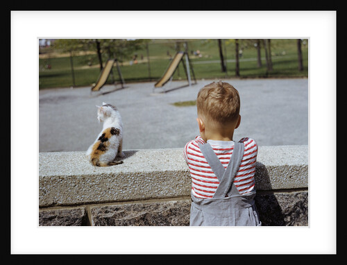 Boy Standing with Kitten in Schoolyard by Anonymous