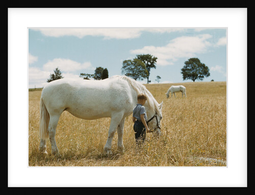 Boy Standing with Horse in a Field by Anonymous