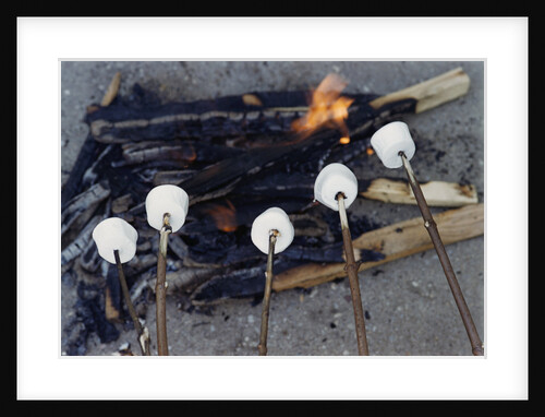 Cooking Marshmallows over Campfire by Anonymous