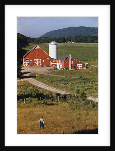 Boy Standing in Field near Red Barn by Anonymous