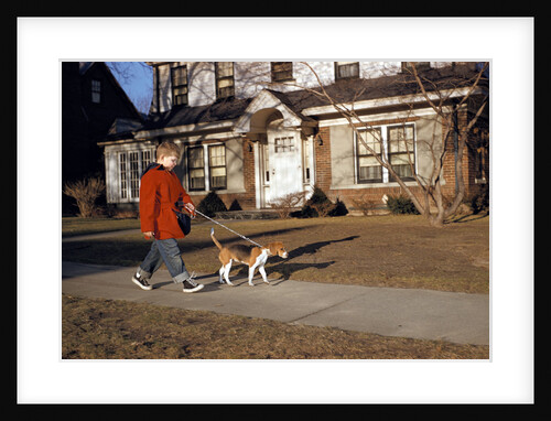 Boy Walking Dog on Sidewalk by Anonymous