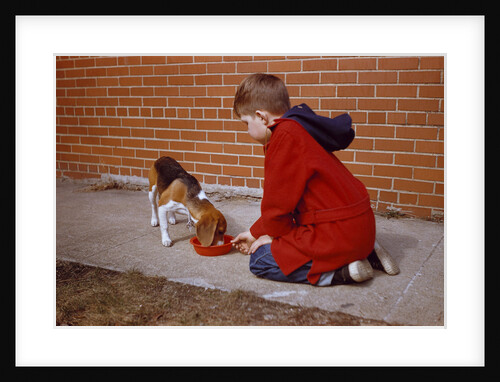 Boy Feeding Dog on Sidewalk by Anonymous