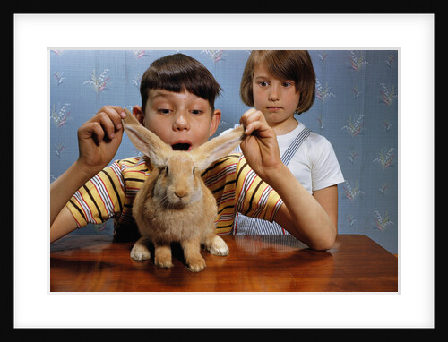 Annoying Brother Playing With His Sister's Pet Rabbit by Anonymous